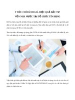 5 tiêu chí đánh giá hiệu quả đầu tư vốn nhà nước tại tổ chức tín dụng