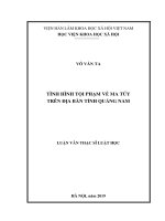 (Luận văn thạc sĩ) Tình hình các tội phạm các tội phạm về ma túy trên địa bàn tỉnh Quảng Nam