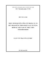 (Luận văn thạc sĩ) Thực hành quyền công tố trong vụ án hủy hoại rừng theo pháp luật tố tụng hình sự Việt Nam từ thực tiễn tỉnh Bình Định