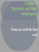 Lecture Organizational behavior - Chap 8: Introducing organizational behavior