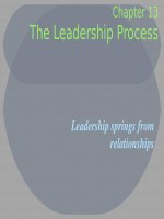 Lecture Organizational behavior - Chap 13: Power and politics