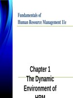 Lecture Fundamentals of human resource management (11th Edition): Chapter 1