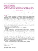 Tương quan giữa chất lượng nước và sự phân bố của trùng bánh xe (Rotifera) dọc theo tuyến sông Mỹ Thanh, Sóc Trăng