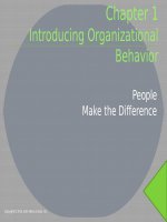 Lecture Organizational behavior - Chap 1: Introducing organizational behavior
