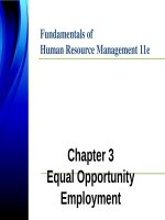 Lecture Fundamentals of human resource management (11th Edition): Chapter 3