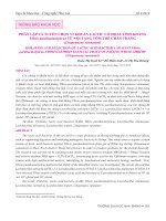 Phân lập và tuyển chọn vi khuẩn lactic có họat tính kháng Vibrio parahaemolyticus từ nội tạng tôm thẻ chân trắng (Litopenaeus vannamei)