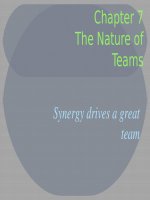 Lecture Organizational behavior - Chap 7: Introducing organizational behavior