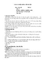 Giáo án hội giảng cấp huyện môn Lịch sử lớp 5 - Bài Đường Trường Sơn