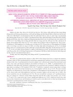 Khả năng kháng kháng sinh của vi khuẩn Vibrio parahaemolyticus phân lập từ các vùng nuôi tôm thẻ chân trắng (Litopenaeus vannamei) của tỉnh Bạc Liêu năm 2019
