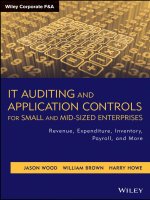 IT auditing and application controls for small and mid sized enterprises revenue, expenditure, inventory, payroll, and more 