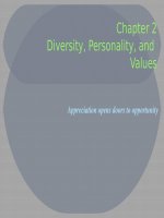 Lecture Organizational behavior - Chap 2: Introducing organizational behavior