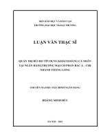 luận văn thạc sĩ quản trị rủi ro tín dụng khách hàng cá nhân tại ngân hàng thương mại cổ phần bắc á chi nhánh thăng long 
