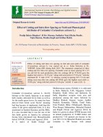 Effect of cutting and intra row spacing on yield and phenotypical attributes of coriander (Coriandrum sativum L.)