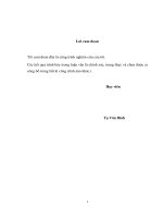 Hiệu ứng liên kết spinquỹ đạo và từ trường trong mạng tinh thể có cấu trúc vùng năng lượng phẳng (Luận văn thạc sĩ)