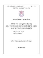 Đánh giá kết quả điều trị của thuốc sorafenib trên bệnh nhân ung thư gan nguyên phát (TT VIET)