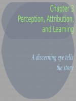 Lecture Organizational behavior - Chap 3: Introducing organizational behavior