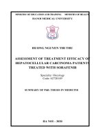 Đánh giá kết quả điều trị của thuốc sorafenib trên bệnh nhân ung thư gan nguyên phát (TT ANH)