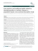 Care practices and traditional beliefs related to neonatal jaundice in northern Vietnam: A population-based, cross-sectional descriptive study
