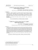 A study on the use of carbon quantum dots on hCG immune analysis