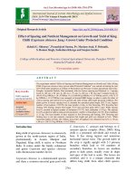 Effect of spacing and nutrient management on growth and yield of king chilli (Capsicum chinense Jacq.) grown under protected condition
