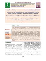 Impact of seed bed manipulations and weed management practices on growth, yield and economics of wheat under organic conditions
