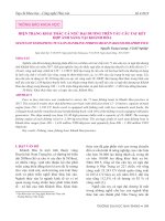 Hiện trạng khai thác cá ngừ đại dương trên tàu câu tay kết hợp ánh sáng tại Khánh Hòa