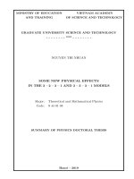 Các hiệu ứng vật lý mới trong các mô hình 3 2 3 1 và 3 3 3 1 tt tiếng anh 