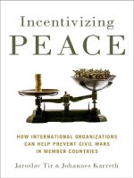 Incentivizing peace how international organizations can help prevent civil wars in member countries 