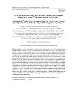 Nanocurcumin and chitosan-pluronic F127-based hydrogel for 3rd degree burn treatment