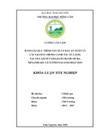 (Khóa luận tốt nghiệp) Hiện trạng môi trường đất trồng rau xà lách tại 1701,Azusuyama, Kawakamimura, Minamisakugun, Tỉnh nagano, Nhật Bản