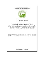 Giải pháp nâng cao hiệu quả đào tạo nghề cho lao động nông thôn huyện định hóa, tỉnh thái nguyên 
