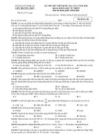 Đề thi thử THPT Quốc gia lần 1 môn Sinh học năm 2019-2020 có đáp án - Liên Trường THPT Nghệ An