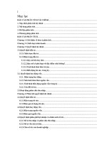 bài tập lớn môn phân tích tài chính: phân tích tài chính công ty bibica