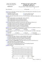 Đề thi thử THPT Quốc gia lần 1 môn Địa lí năm 2019-2020 có đáp án - Trường THPT Đồng Đậu