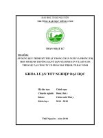 Áp dụng quy trình kỹ thuật trong chăn nuôi và phòng trị một số bệnh thường gặp ở lợn nái sinh sản 