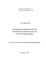 Tách dòng và thiết kế vector chuyển gene chịu hạn AtYUCCA6 từ cây arabidopsis thaliana 