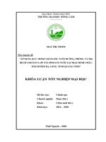 Áp dụng quy trình chăm sóc nuôi dưỡng, phòng và trị bệnh cho đàn lợn nái sinh sản 