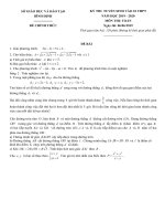 Đề thi tuyển sinh vào lớp 10 THPT năm 2019-2020 môn Toán có đáp án - Sở GD&ĐT Bình Định