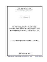 Tổ chức hoạt động trải nghiệm cho học sinh trong dạy học địa lí lớp 11 theo định hướng phát triển năng lực 