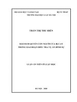 Bảo đảm quyền con người của bị can trong giai đoạn điều tra vụ án hình sự 