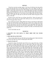 Tiểu luận phân tích nguyên tắc xây dựng và thực hiện thủ tục hành chính, đánh giá việc cải cách hành chính ở nước ta trong giai đoạn vừa qua