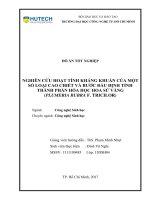 Nghiên Cứu Hoạt Tính Kháng Khuẩn Của Một Số Loại Cao Chiết Và Bước Đầu Định Tính Thành Phần Hóa Học