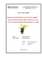 Khảo Sát Ảnh Hưởng Của Nguồn Carbon Lên Sự Sinh Trưởng, Phát Triển Của Lan Vũ Nữ