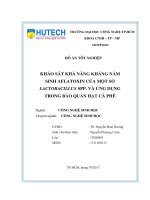 Khảo Sát Khả Năng Kháng Nấm Sinh Aflatoxin Của Một Số Lactobacillus Spp.