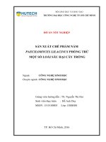 Sản Xuất Chế Phẩm Nấm Paecilomyces Lilacinus Phòng Trừ Một Số Loài Sâu Hại Cây Trồng