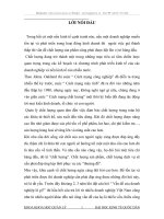 Hoàn thiện hệ thống quản lý chất lượng tại công ty cổ phần tập đoàn hoà phát 