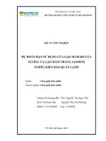 Dự Đoán Hạn Sử Dụng Của Gạo Mầm Đỏ Lúa Nương Và Gạo Mầm Trắng Jasmine Ở Điều Kiện Bảo Quản Lạnh