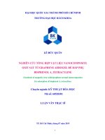 Nghiên cứu tổng hợp vật liệu nanocomposite oxit sắt từ Graphene aerogel để hấp phụ bisphenol A, tetracyline