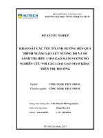 Khảo Sát Các Yếu Tố Ảnh Hưởng Đến Quá Trình Ngâm Gạo Lứt Nương Đỏ Và So Sánh Thị Hiếu Cơm Gạo