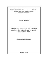 một số căn nguyên vi rút gây hội chứng viêm não cấp tại tỉnh bắc giang, 2004 2017 